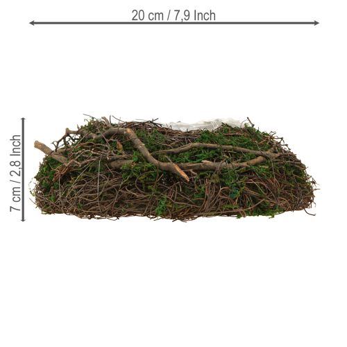 Itens Vaso redondo musgo trepadeira com folha Ø20cm H7cm