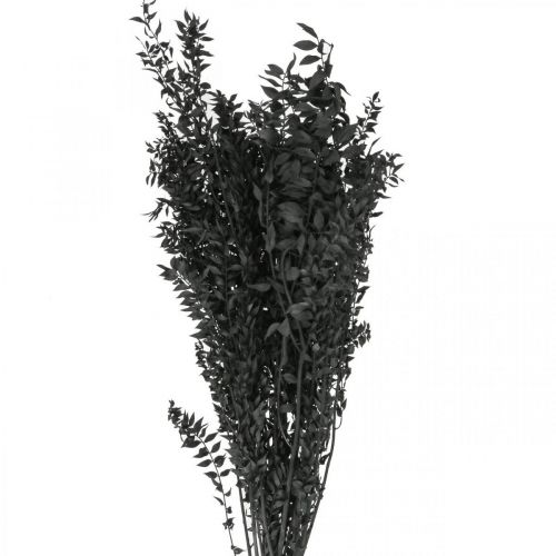 Ramos de Ruscus ramos decorativos flores secas pretas 200g