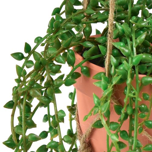 Floristik24 Suculentas artificiais pendurando planta artificial em vaso 34cm