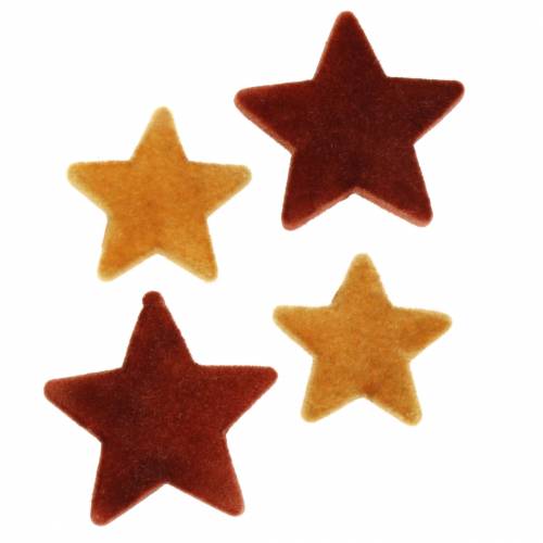 Floristik24 Polvilhe decoração estrela mix flocado curry, rooibos 4cm/5cm 40p