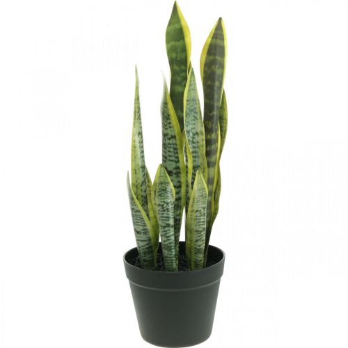 Floristik24 Sansevieria, flor artificial, cânhamo em vaso H50cm Ø14cm