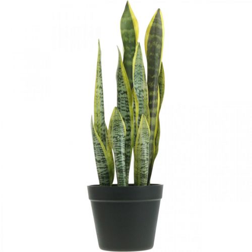 Floristik24 Sansevieria, flor artificial, cânhamo em vaso H50cm Ø14cm