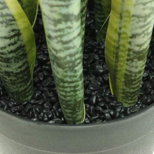 Floristik24 Sansevieria, flor artificial, cânhamo em vaso H50cm Ø14cm