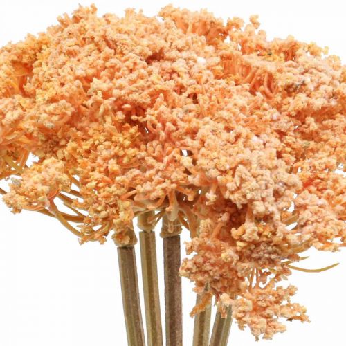 Itens Yarrow artificial flores artificiais laranja 50 cm 5 peças em cacho