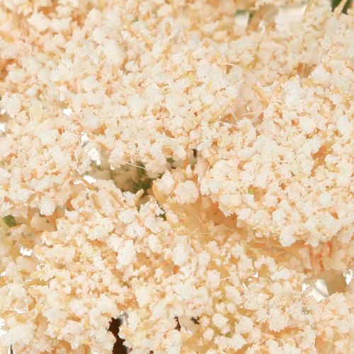 Itens Creme artificial de mil-folhas Achillea flores artificiais 30cm 6 peças