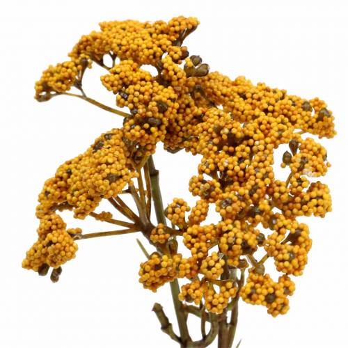 Itens Yarrow amarelo artificial 74cm 3pcs