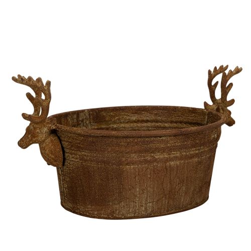 Tigela decorativa em formato de cabeça de rena, oval, cor ferrugem, estilo rústico, 41 cm comprar | Floristik24.pt