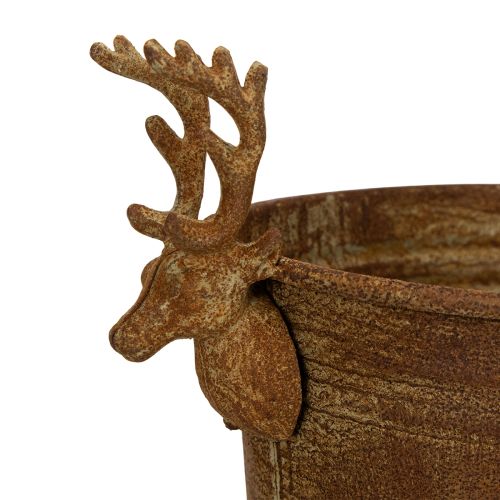 Tigela decorativa em formato de cabeça de rena, oval, cor ferrugem, estilo rústico, 41 cm | Floristik24.pt