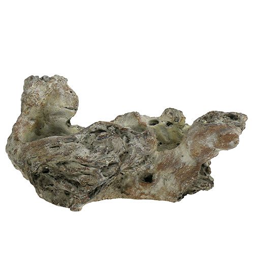 Floristik24 Raiz de madeira da tigela 25,5 cm x 14 cm A 11,5 cm