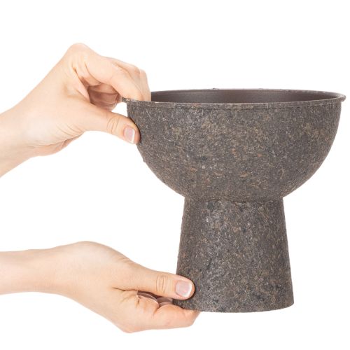 Vaso redondo para plantas com base, 18 cm | Floristik24.pt