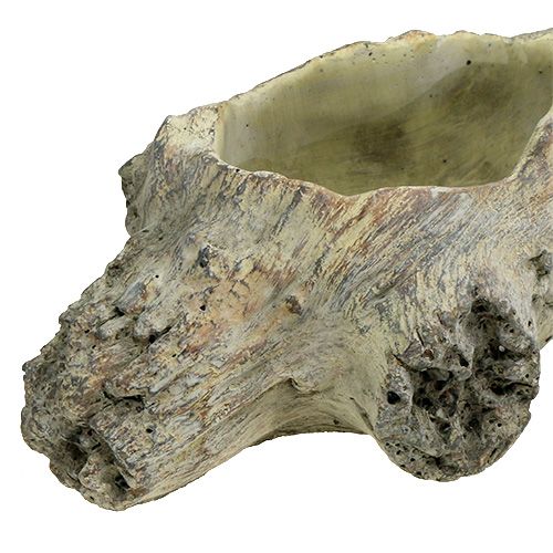 Floristik24 Tigela para plantar 30cm x 13cm H8.5cm