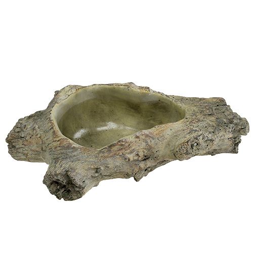 Floristik24 Tigela para plantar 30cm x 13cm H8.5cm