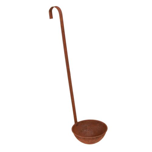 Floristik24 Tigela para plantio de concha decorativa ferrugem Ø12cm 3 unidades