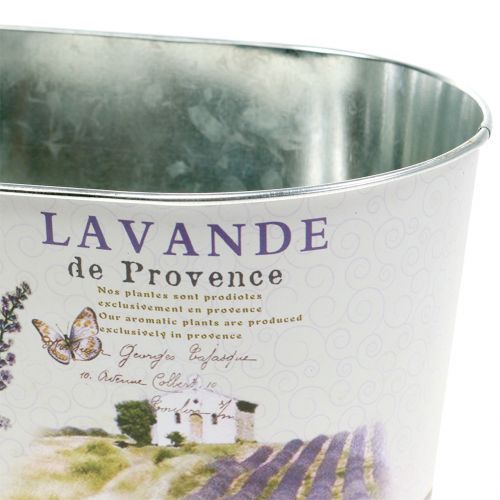 Floristik24 Planta tigela lavanda oval 22,5 cm x 13,5 cm Alt.11 cm