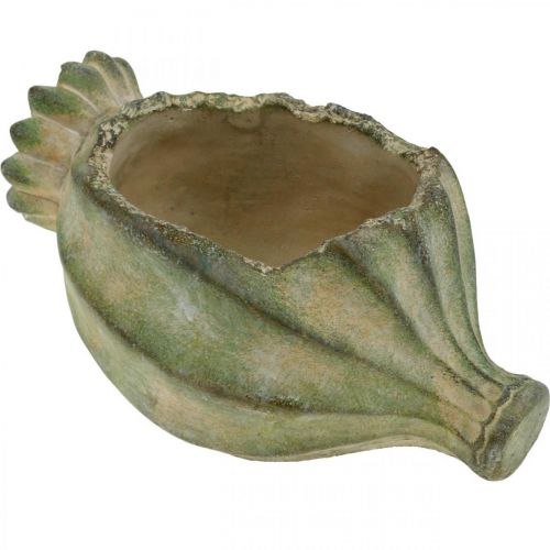 Floristik24 Cápsula de papoula decorativa, plantador de concreto, cachepot, decoração de túmulo L26cm