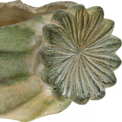 Floristik24 Cápsula de papoula decorativa, plantador de concreto, cachepot, decoração de túmulo L26cm