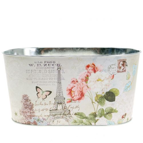 Floristik24 Vaso vaso de rosas oval 22,5cm x 13,5cm Alt.11cm