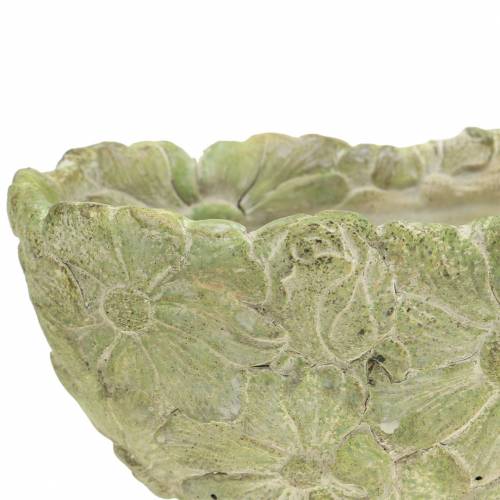 Floristik24 Tigela para plantas oval verde 22×11,5cm A10cm