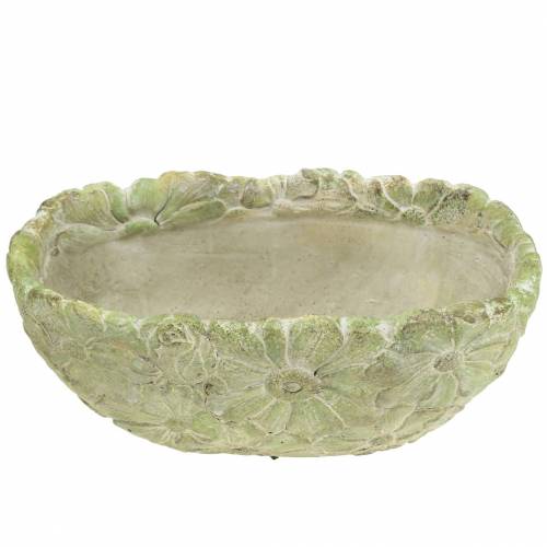 Floristik24 Tigela para plantas oval verde 22×11,5cm A10cm