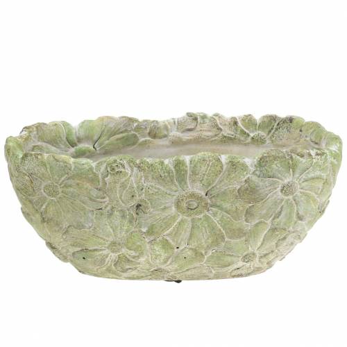 Floristik24 Tigela para plantas oval verde 22×11,5cm A10cm