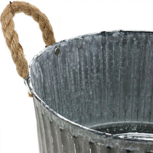 Floristik24 Tigela decorativa, floreira com asas, vaso de flores para plantar Ø25cm