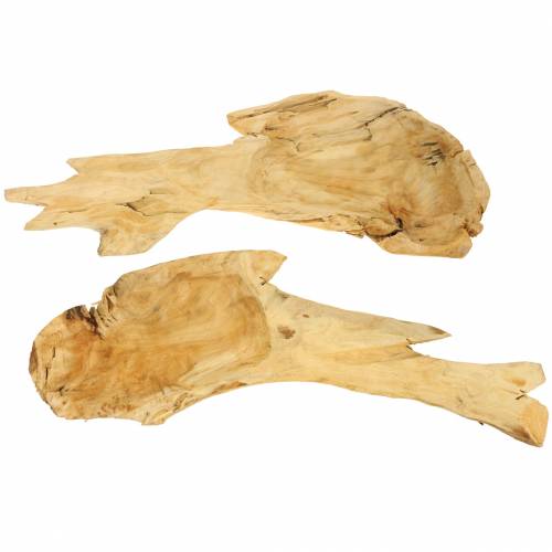 Floristik24 Tigela de madeira de raiz 50cm x 17cm Alt.8cm