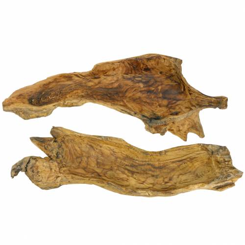 Floristik24 Tigela de madeira Burl com chamas 70cm x 27cm Alt.12cm