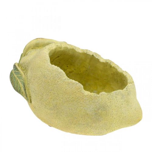 Tigela de concreto mediterrâneo, limão decorativo, plantador, plantador L18,5cm