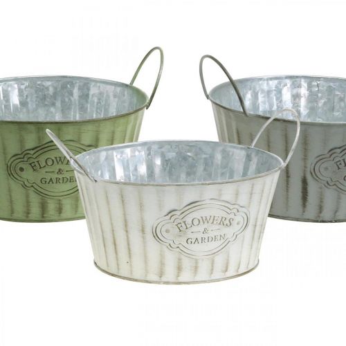 Floristik24 Tigela de metal, vaso de flores de primavera, plantador com alças verde, branco, cinza Ø21cm A15,5cm conjunto de 3