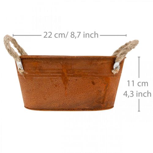 Floristik24 Tigela de metal com asas, decoração de outono, floreira com pátina L22cm A11cm