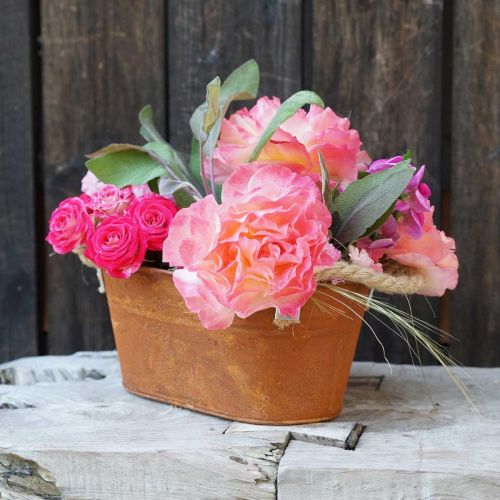 Floristik24 Tigela de metal com asas, decoração de outono, floreira com pátina L22cm A11cm