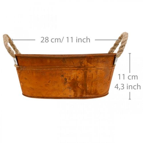 Floristik24 Vaso para plantas com asas, tigela de ervas, decoração de outono, pátina L28cm A11cm