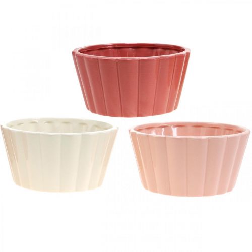 Floristik24 Bolo de anel de vaso de planta, assadeira de tigela de flores, decoração de cerâmica H8cm Ø15.5cm 3pcs