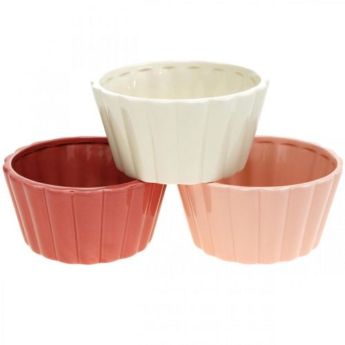 Floristik24 Bolo de anel de vaso de planta, assadeira de tigela de flores, decoração de cerâmica H8cm Ø15.5cm 3pcs