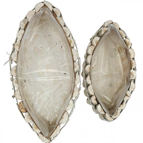 Floristik24 Tigela para plantas, caixa para plantas em madeira, jardineira L37,5/28cm H10/9cm conjunto de 2