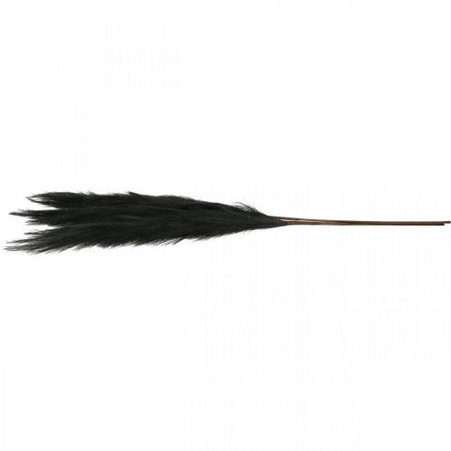 Floristik24 Grama de penas preta de junco chinês grama seca artificial 100 cm 3 peças