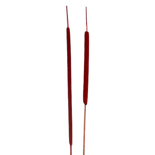 Itens Bulbo de palheta mix vermelho 100 unidades