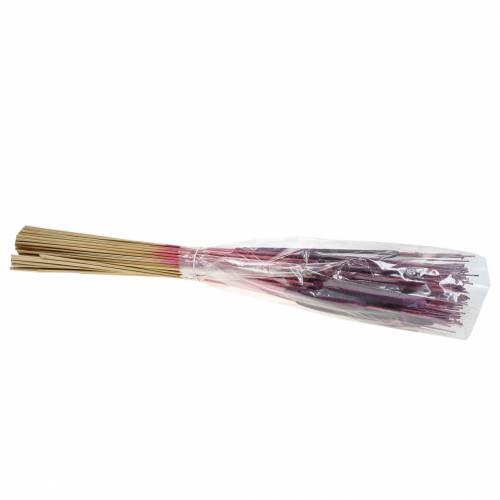 Itens Mistura de bulbos de junco roxo, caiado de branco 100 unidades