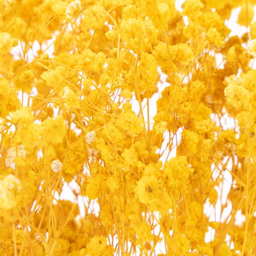 Itens Buquê de flores secas com gipsofila. Galhos floridos decorativos, ideais para enfeitar mesas em diferentes épocas do ano. 70 cm