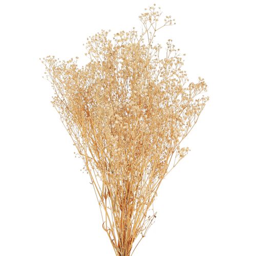 Itens Gypsophila Pansy Gesso Erva Flores brancas 50cm 55g