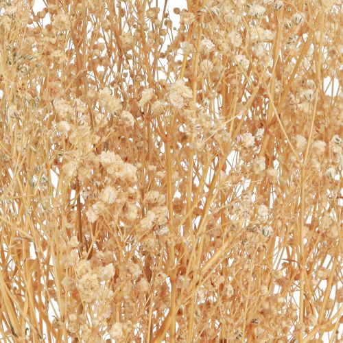Itens Gypsophila Pansy Gesso Erva Flores brancas 50cm 55g