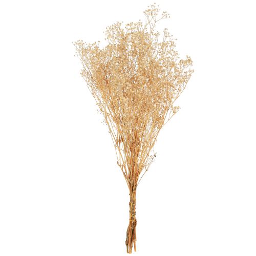 Itens Gypsophila Pansy Gesso Erva Flores brancas 50cm 55g