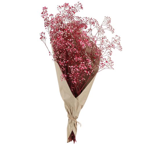 Itens Gypsophila paniculate erva de gesso em baga L50cm 55g