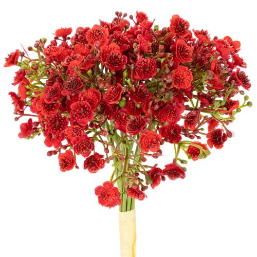 Buquê de flores artificiais de gypsophila vermelha, 30 cm, 10 peças, para decoração.