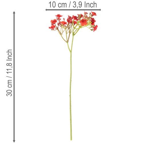 Buquê de flores artificiais de gypsophila vermelha, 30 cm, 10 peças, para decoração. | Floristik24.pt
