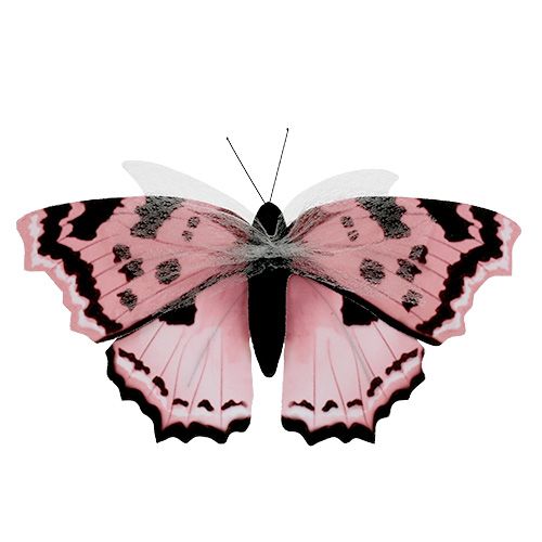 Floristik24 Borboleta rosa 20cm em fio 2pcs