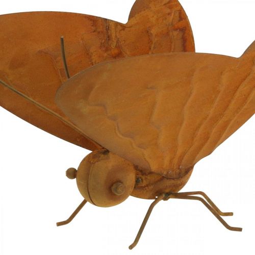 Floristik24 Figura de jardim, borboleta para colocar, pátina decorativa em metal L20cm L21cm
