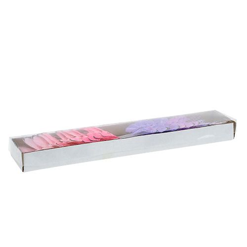 Floristik24 Bunda borboleta 5cm rosa-lilás. 24pcs