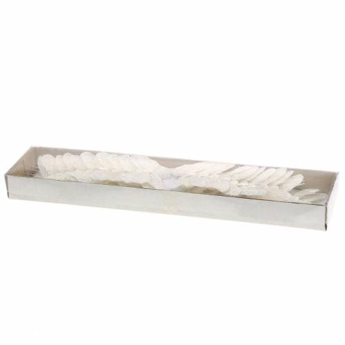 Floristik24 Borboleta pena com arame branco, glitter 5cm 24 un