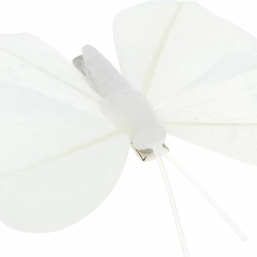 Floristik24 Pena borboleta em clipe branco 7-8 cm 8 unidades